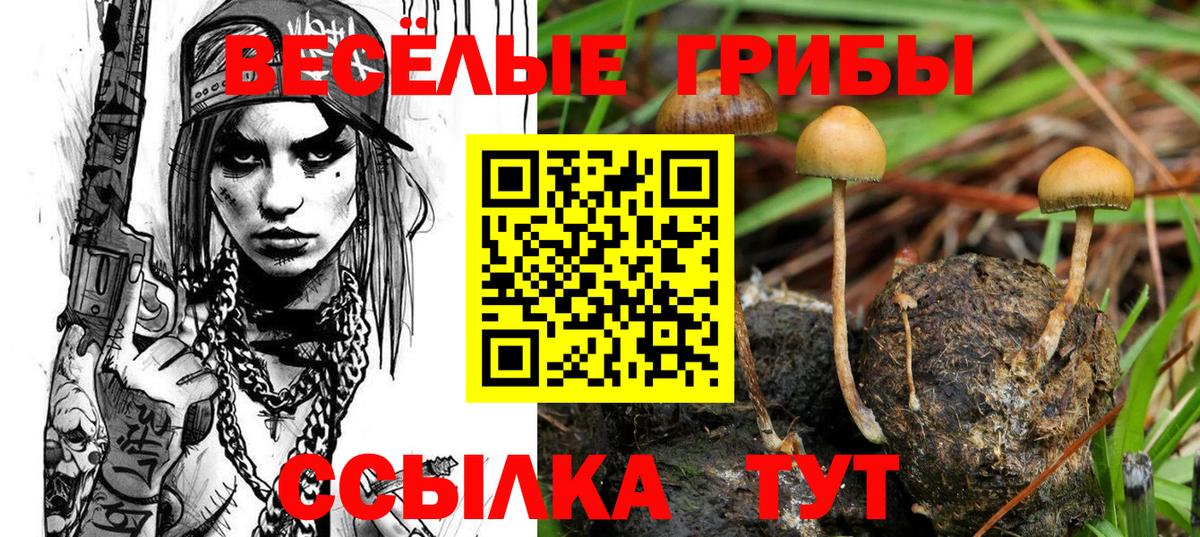 Протвино  Галлюциногенные грибы Psilocybine cubensis  Вход с VPN 