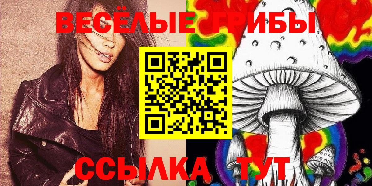 ТГК  Кодеин  ГАШ  МАРИХУАНА  NBOMe  Меф МЯУ МЯУ кристаллы  Вход с VPN  ГАШИШ  Протвино  Где продают наркотики? 