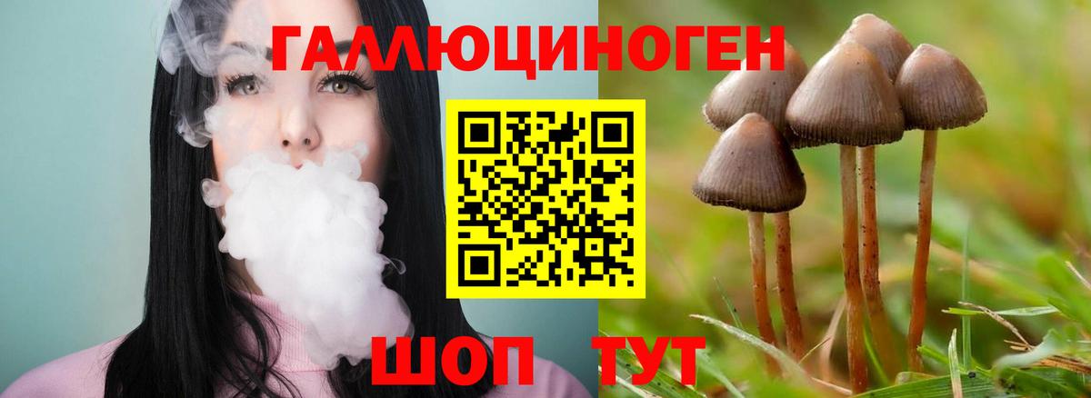 Галлюциногенные грибы Magic Shrooms Протвино