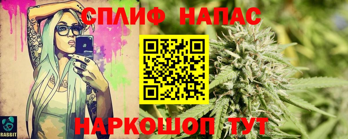 Шишки марихуана конопля Протвино